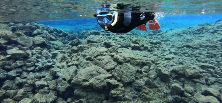 De Teambubbel is ontstaan op IJsland IJsland snorkelen