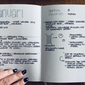 Boekenlijst januari